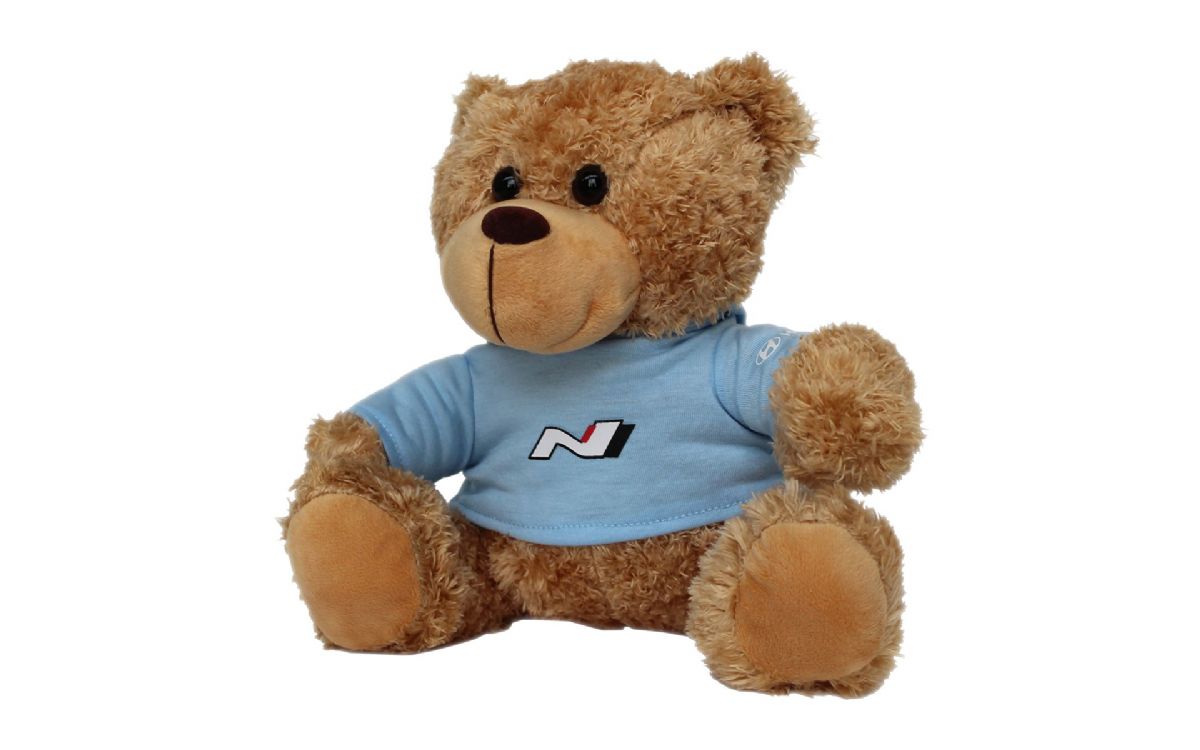 N Teddy