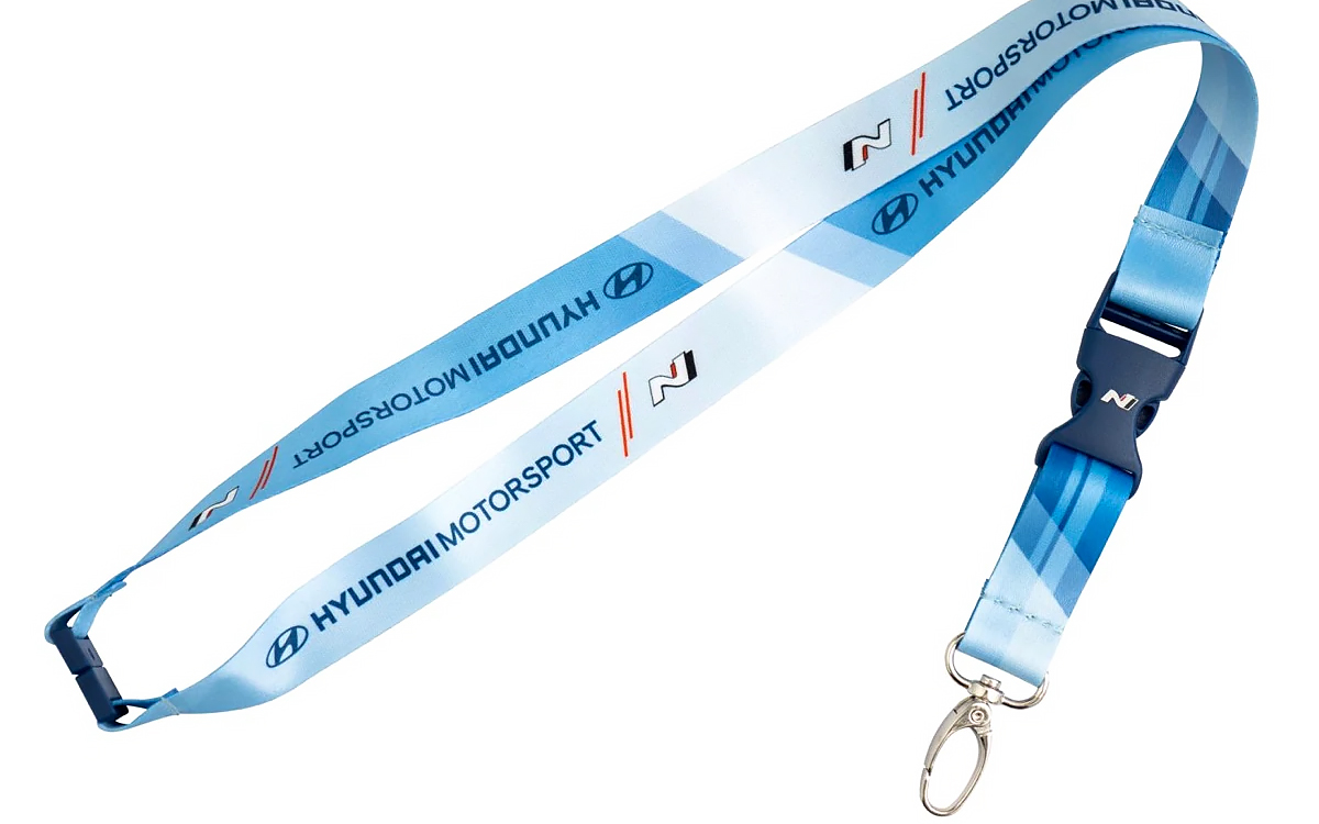 Lanyard
