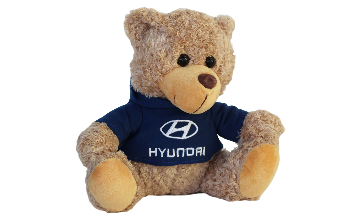 Hyundai Teddy